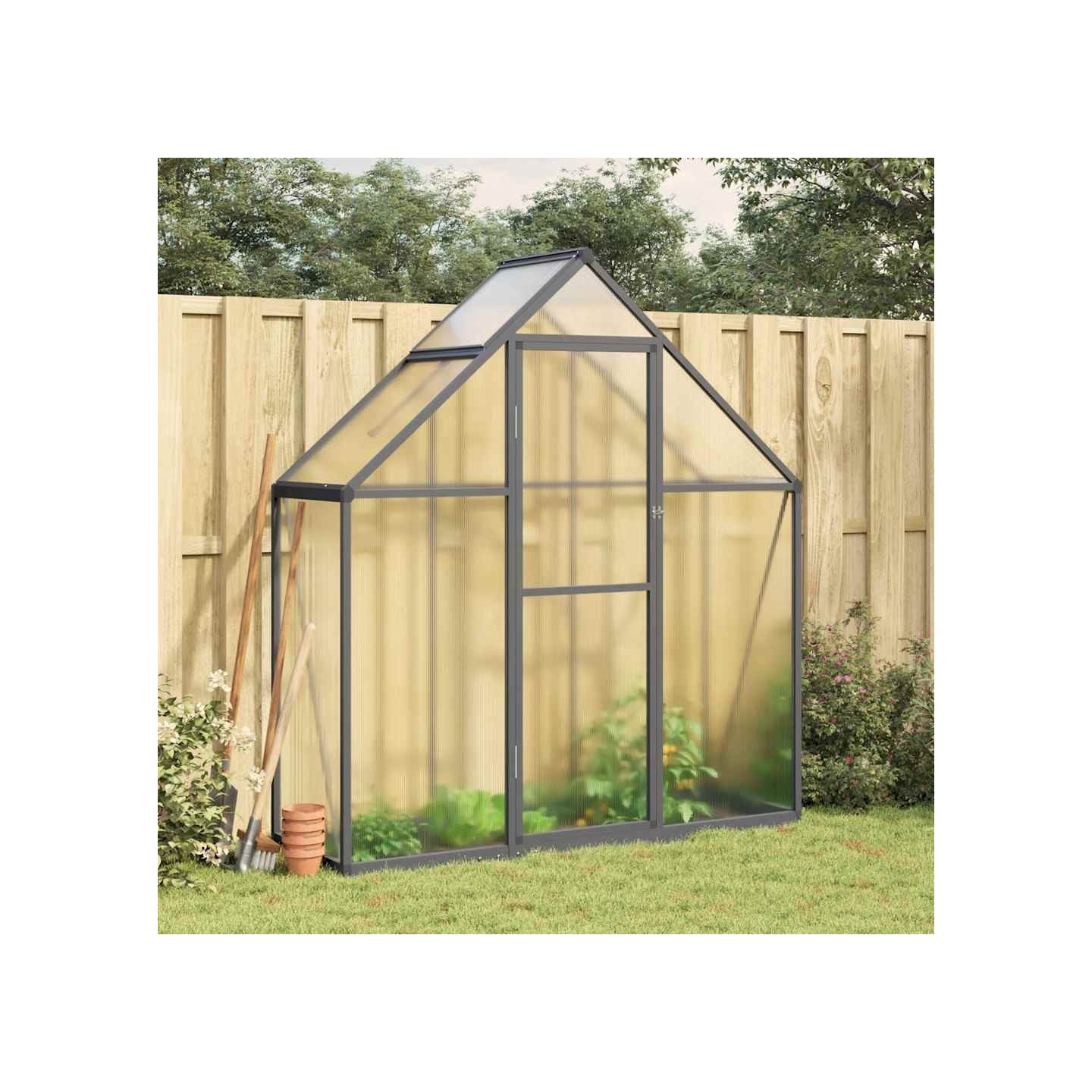Serre avec cadre de base anthracite 169x58x195 cm aluminium