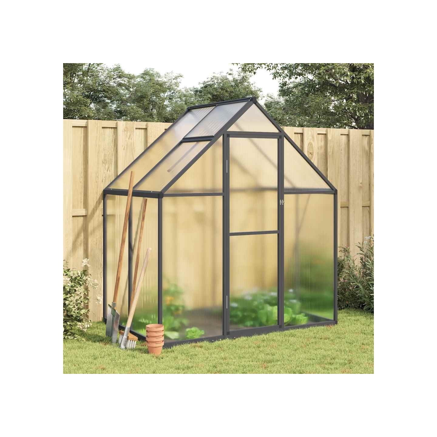 Serre avec cadre de base anthracite 169x114x195 cm aluminium