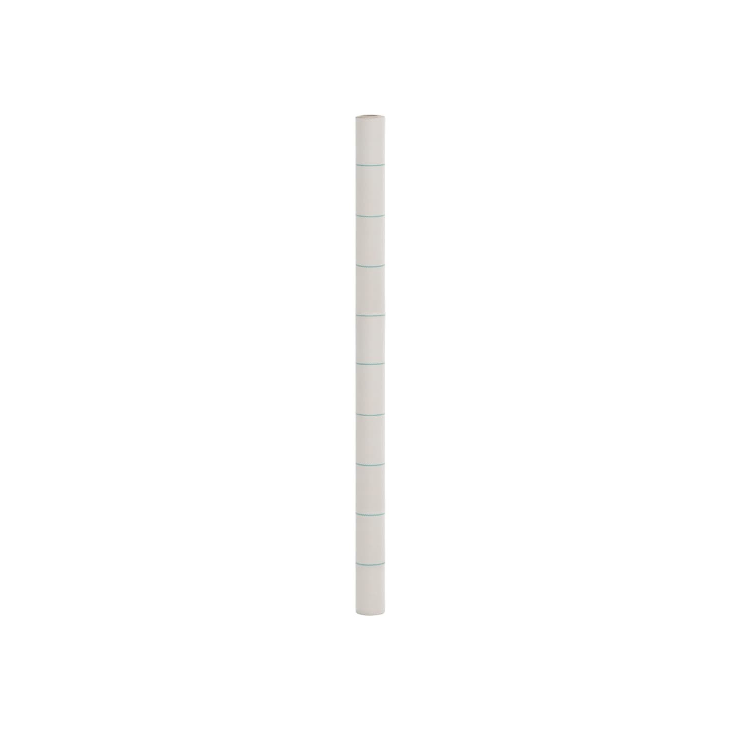 Membrane anti-mauvaises herbes blanc 2x200 m PP