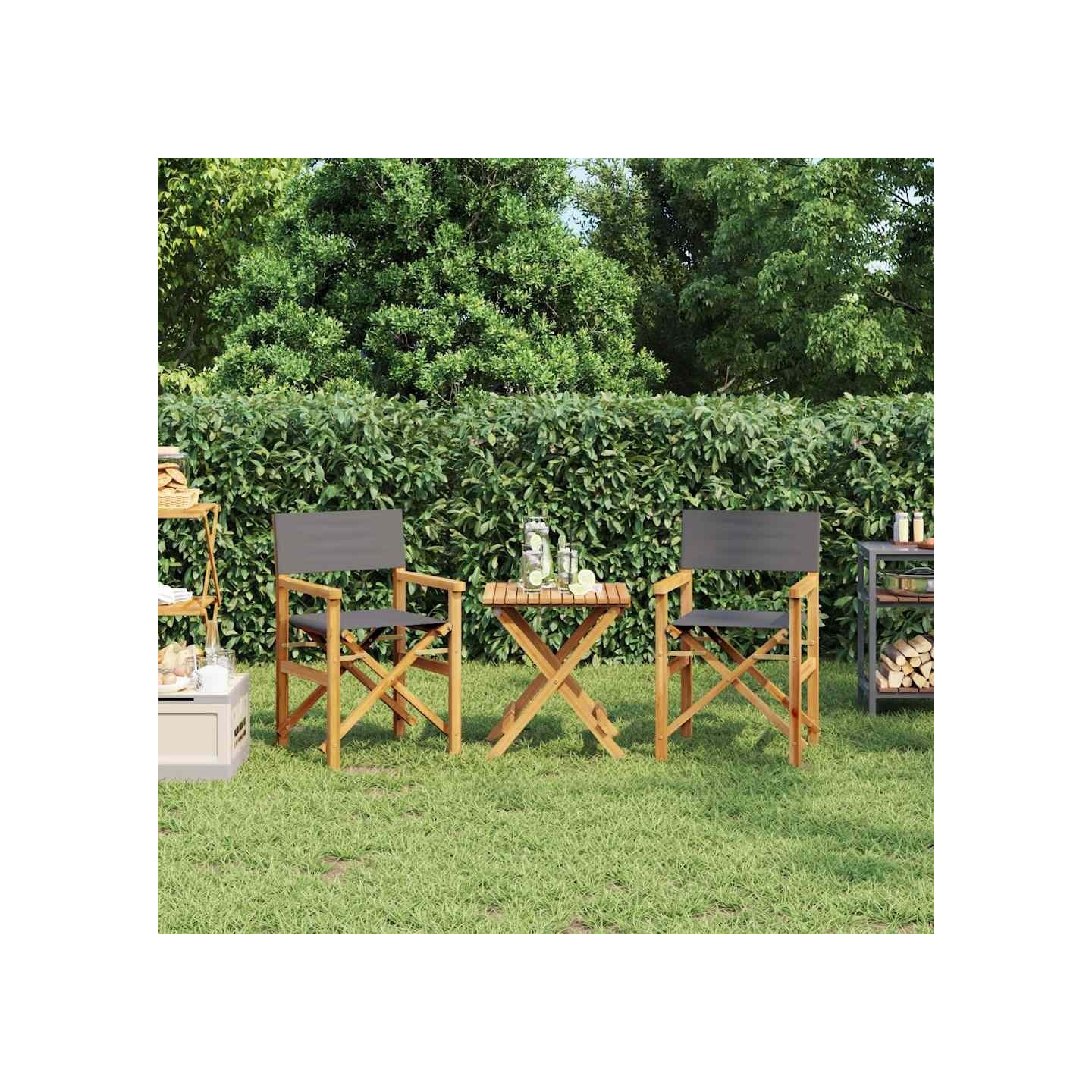 Chaises de metteur en scène pliantes lot de 2 Bois teck massif