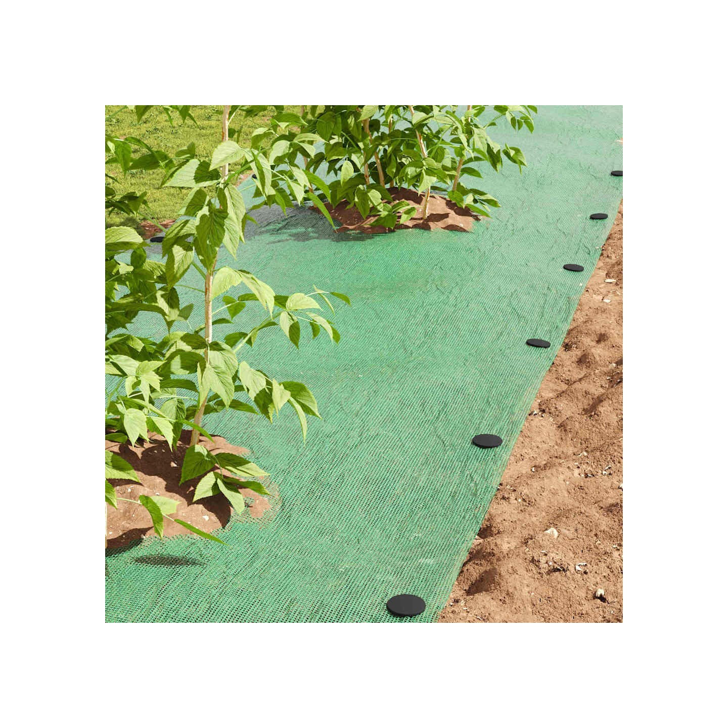 Piquets de sol 100 pièces Noir Ø3 x 11 cm Plastique
