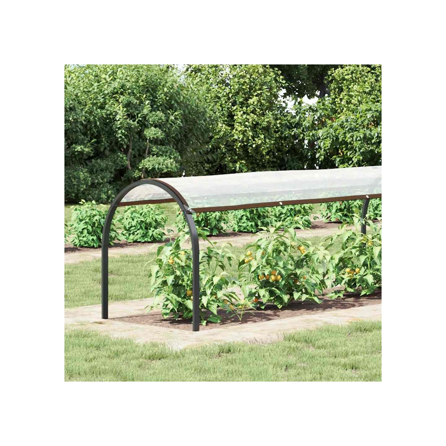 Bâche transparente avec œillets 1x8 m polyéthylène
