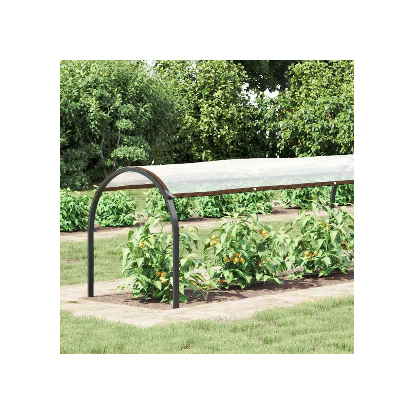 Bâche transparente avec œillets 1x12 m polyéthylène