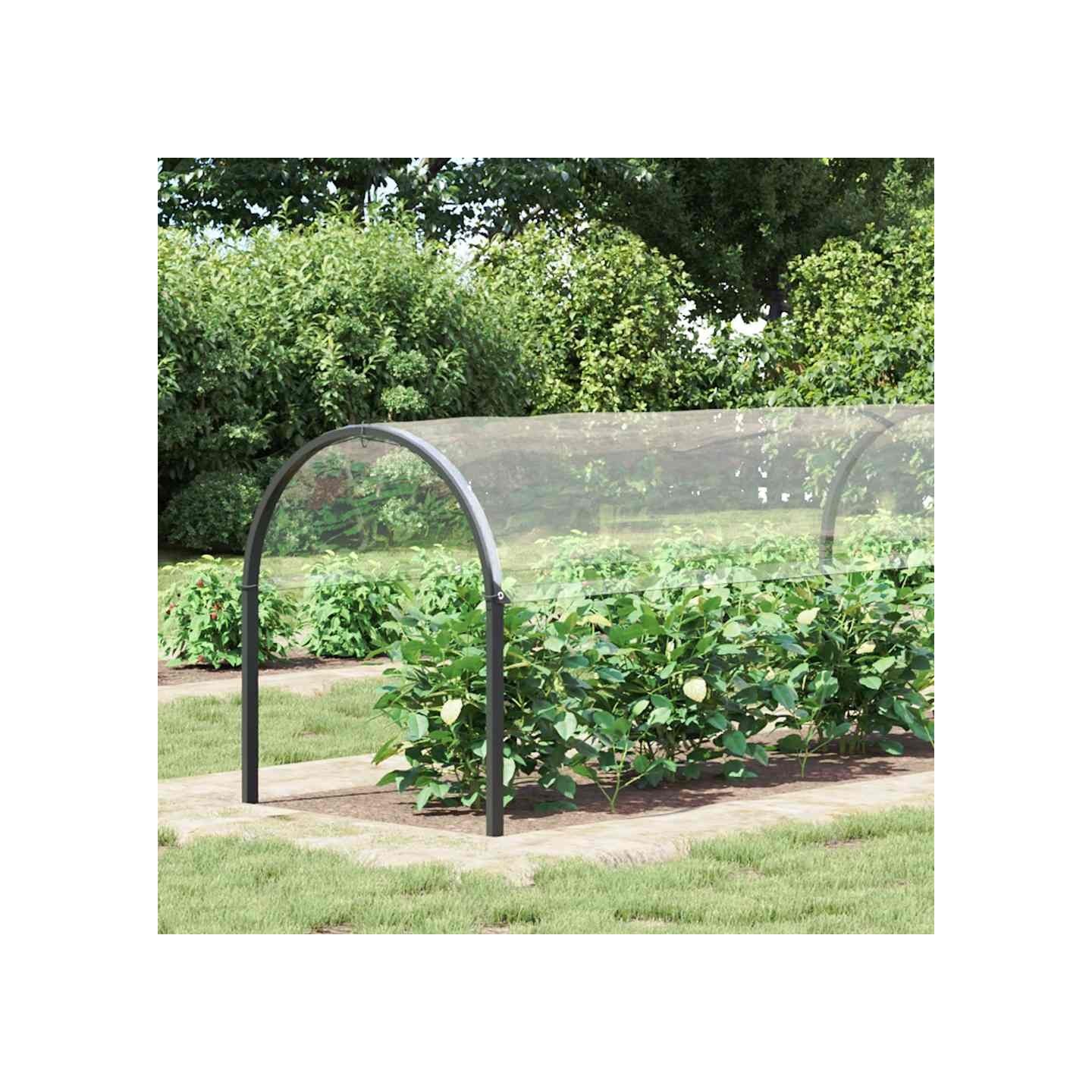 Bâche transparente avec œillets 2x8 m PVC