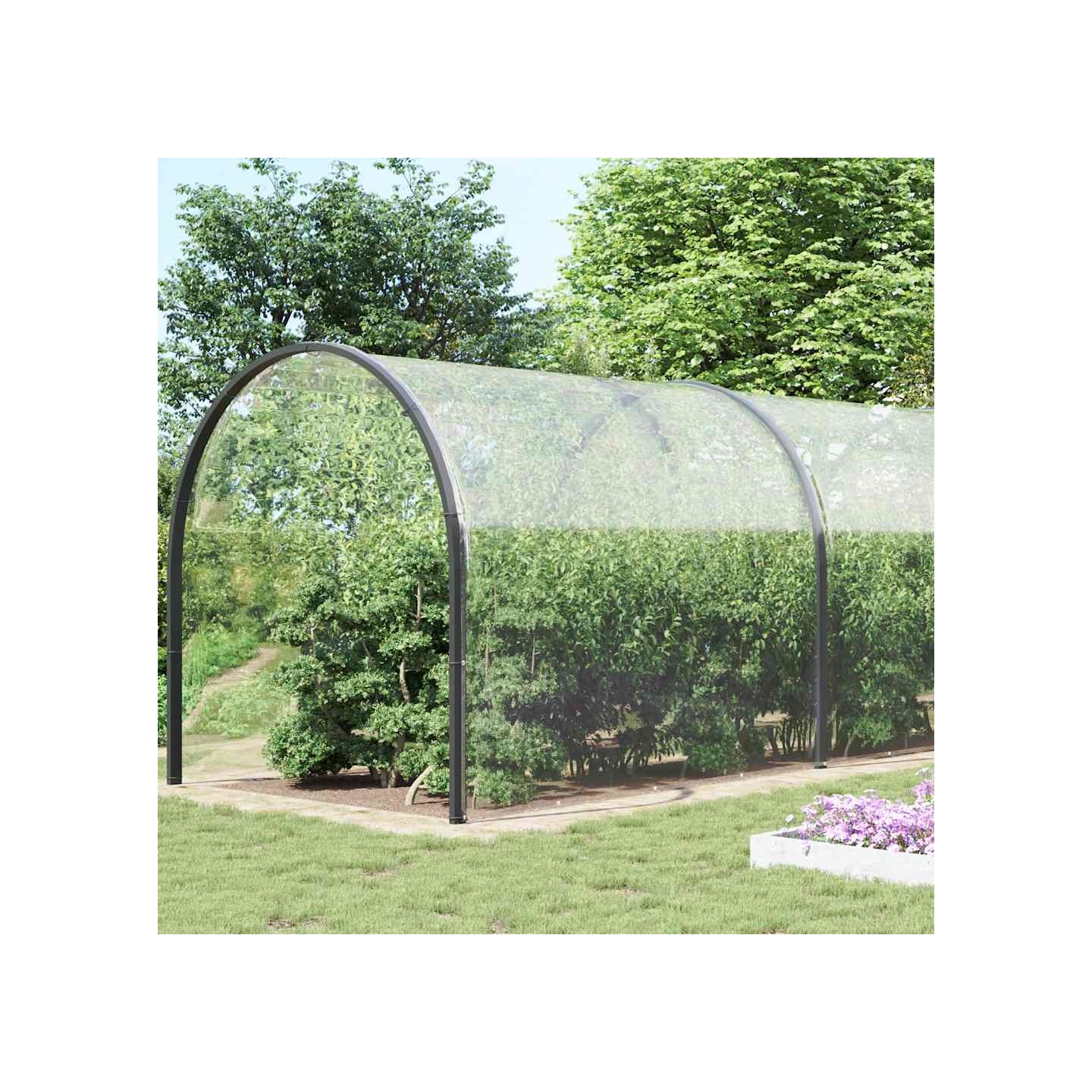 Bâche transparente avec œillets 6x12 m PVC