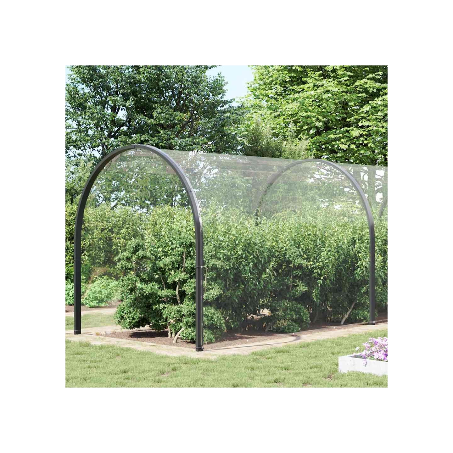 Bâche transparente avec œillets 5x12 m PVC
