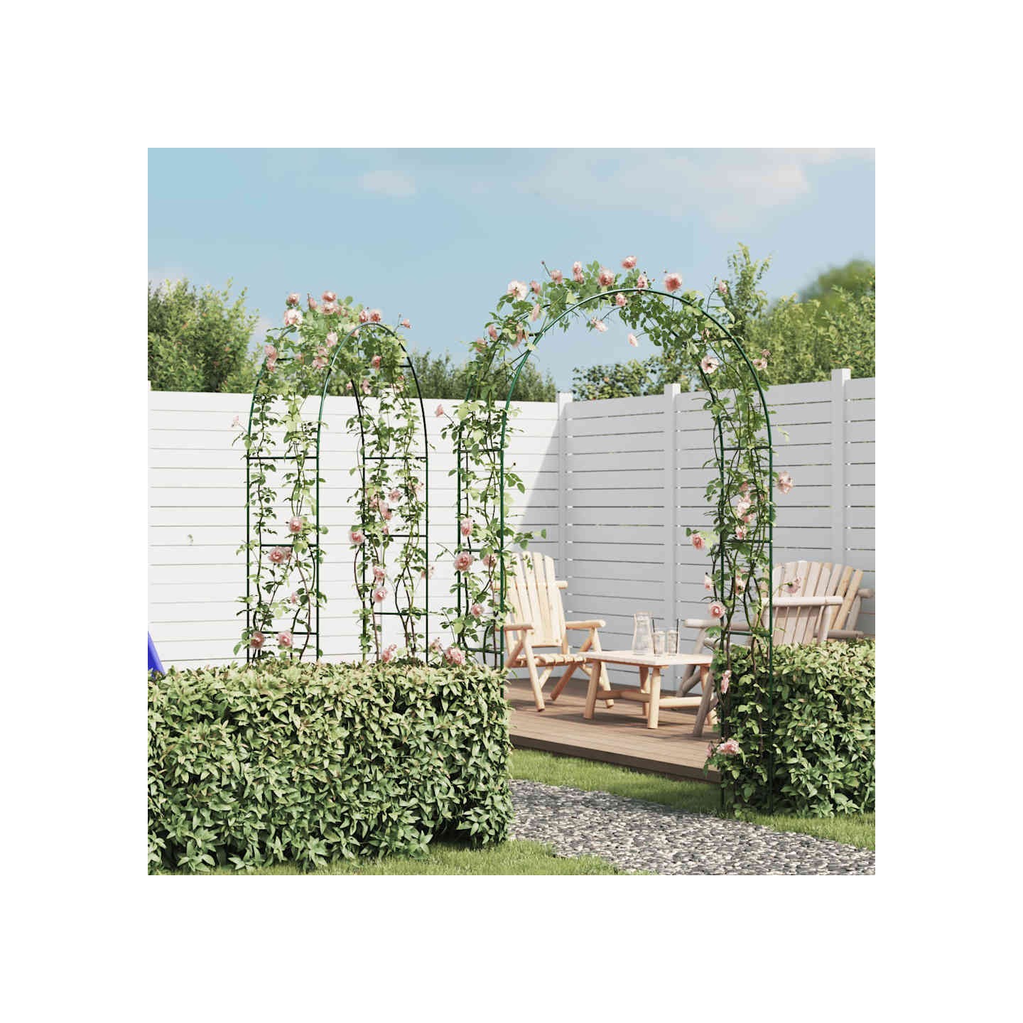 Arche de jardin 2 pcs pour plantes grimpantes
