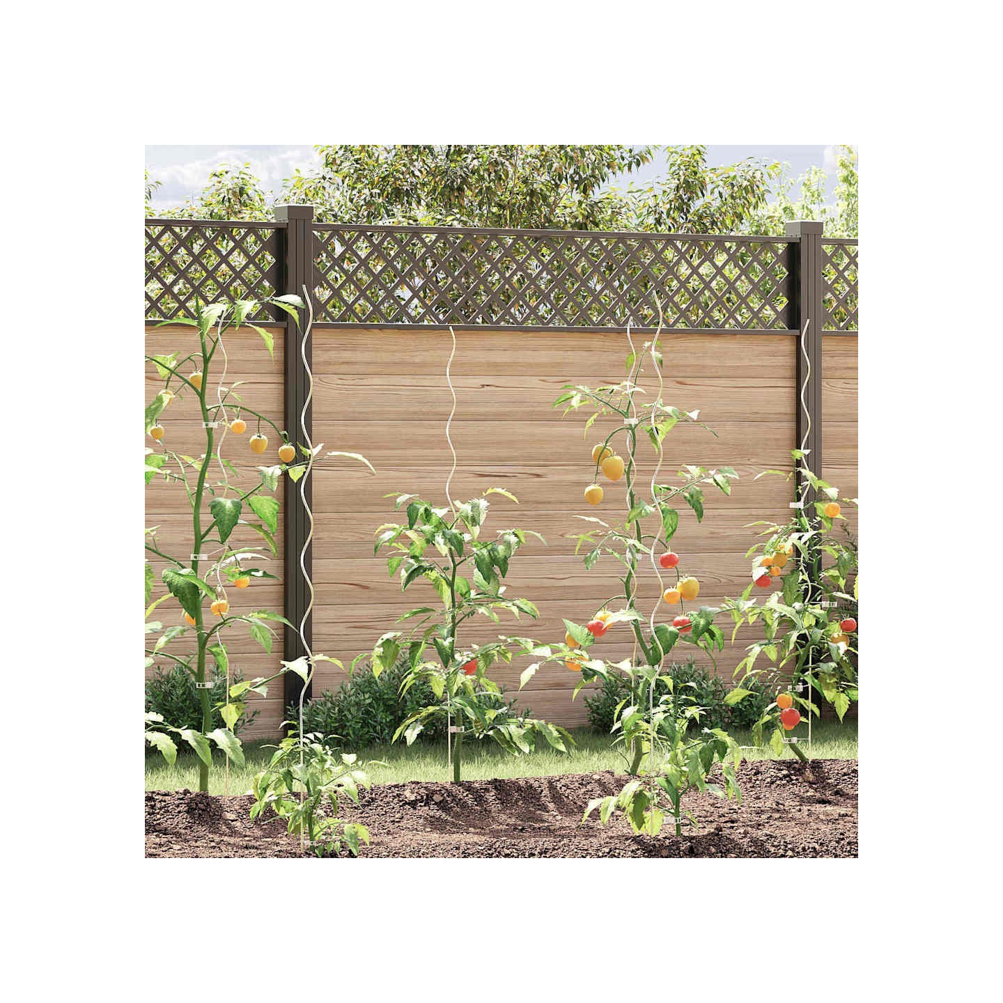 Soutien de plante 50 pc Argenté 150 x 0,6 x 0,6 cm Acier