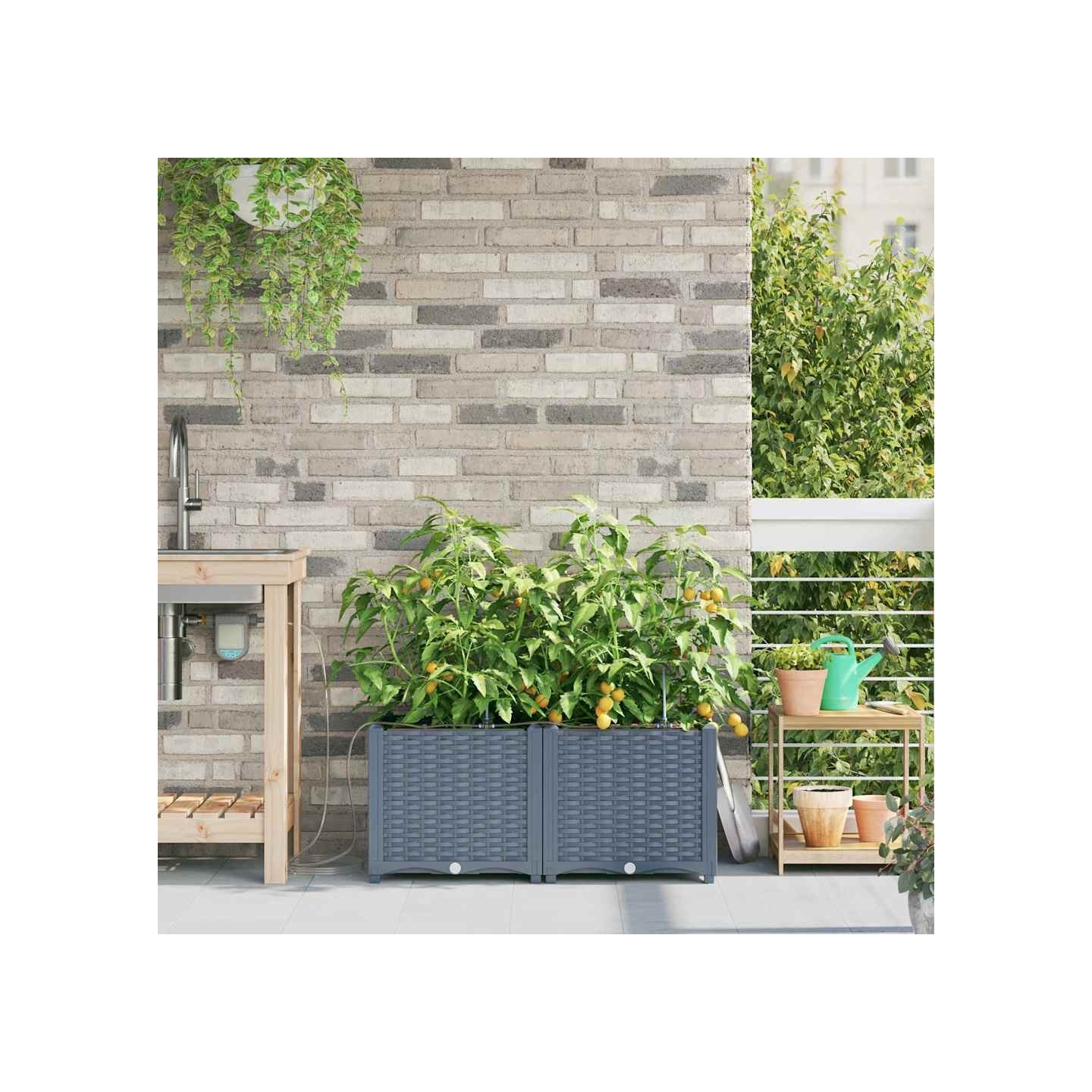 Cache-pot de jardin 2 pc Gris clair 80 x 40 x 37,5 cm PP