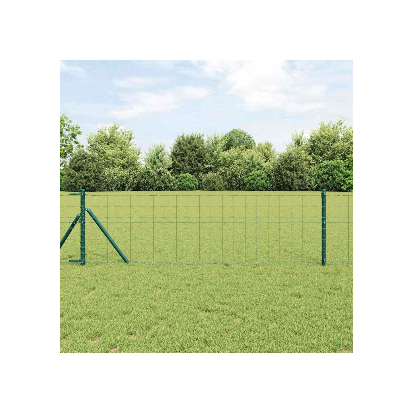 Clôture Euro 0,4 x 25 m Fer revêtu de PVC Vert