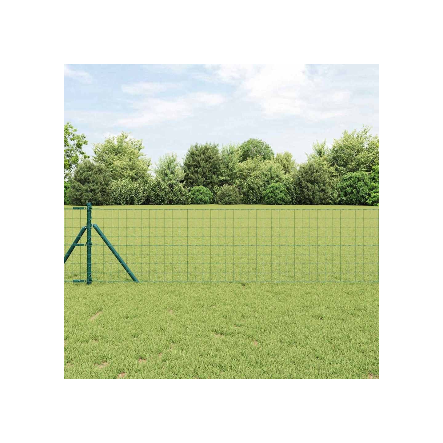 Clôture Euro 0,4 x 25 m Fer revêtu de PVC Vert