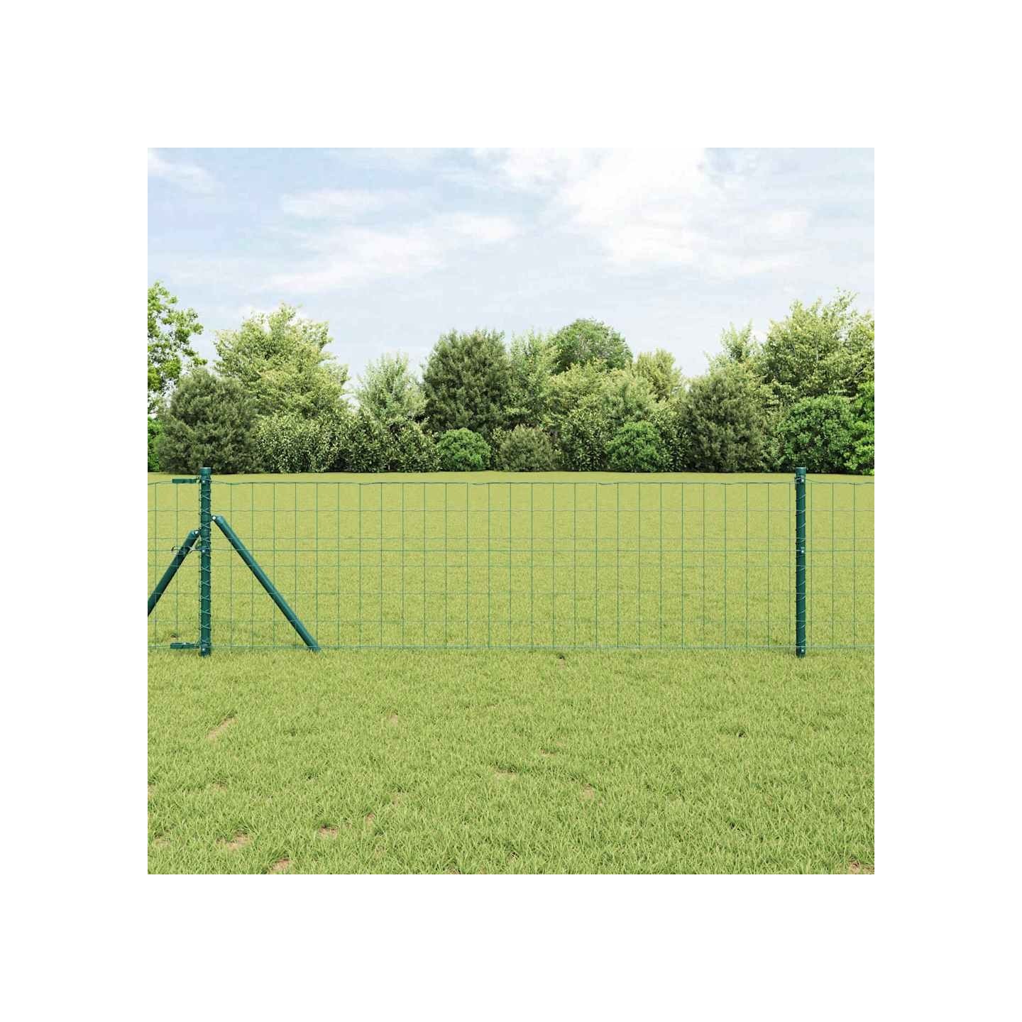 Clôture Euro 0,4 x 50 m Fer revêtu de PVC Vert