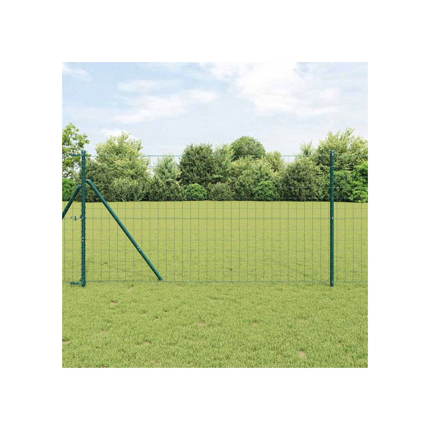Clôture Euro 1,2 x 25 m Fer revêtu de PVC Vert