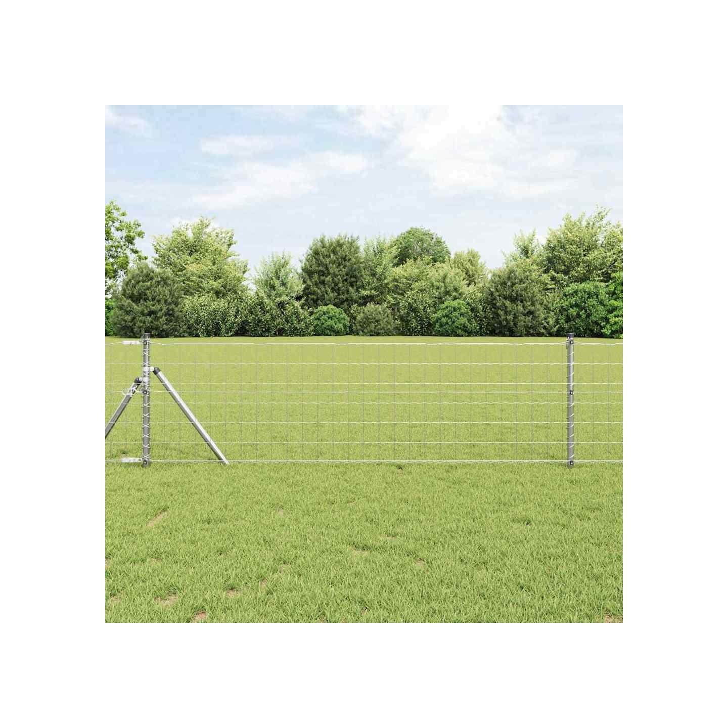 Clôture Euro 0,8 x 10 m Fer revêtu de PVC