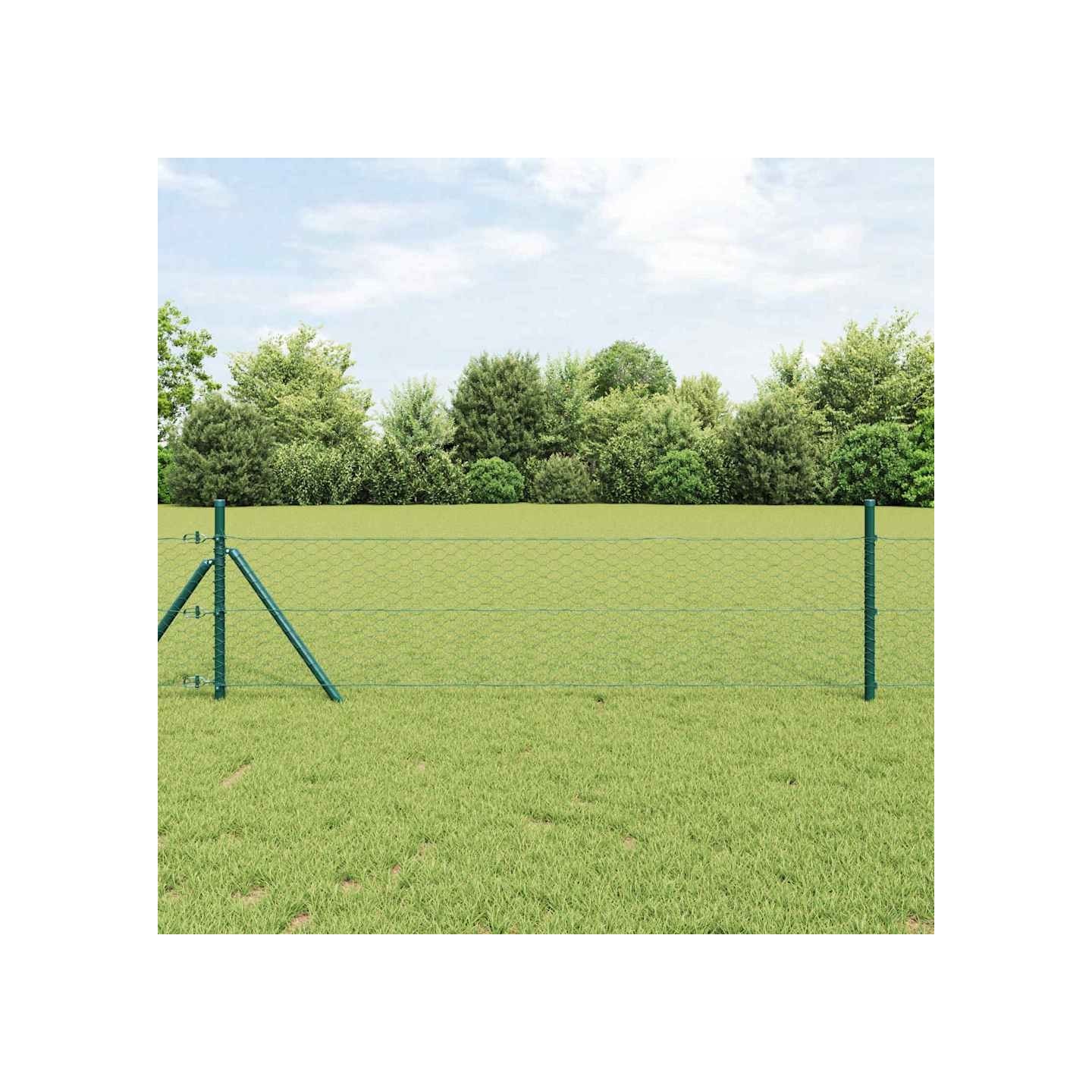 Clôture hexagonale 0,6 x 50 m PVC Vert