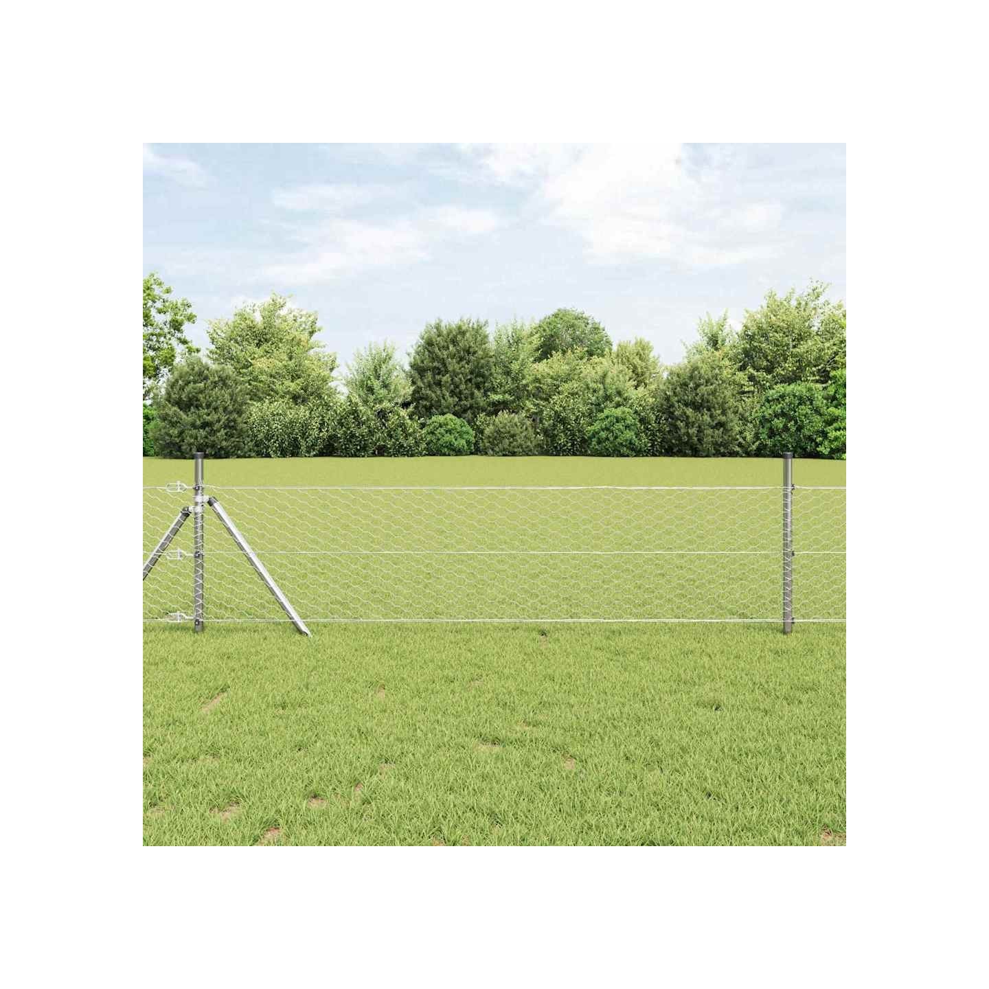Clôture hexagonale 0,4 x 100 m Acier galvanisé Argenté