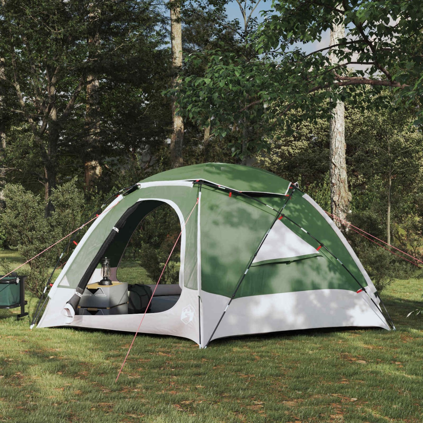 Tente en dôme avec housse imperméable amovible 4 personne Vert
