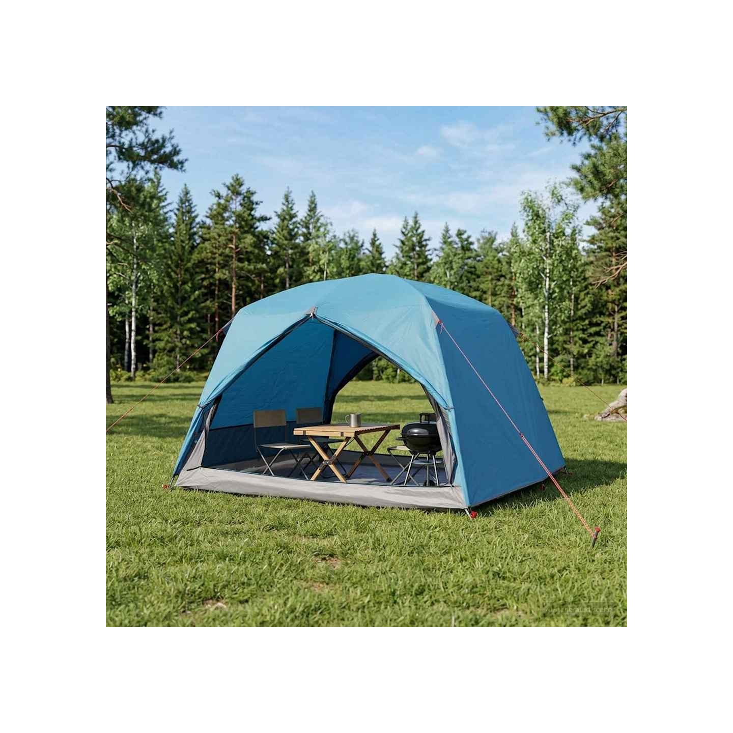 Tente de randonnée 2 personne Bleu